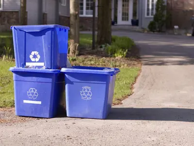 Blue recycling bins on the curb