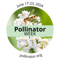 Pollinator week logo 2024