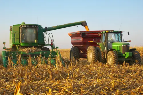 Green combine in a corn field unloading corn into red wagon pulled by a green tractor.