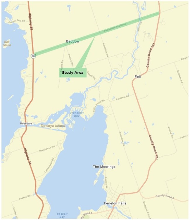Fenelon Falls Second Crossing Study Area Map