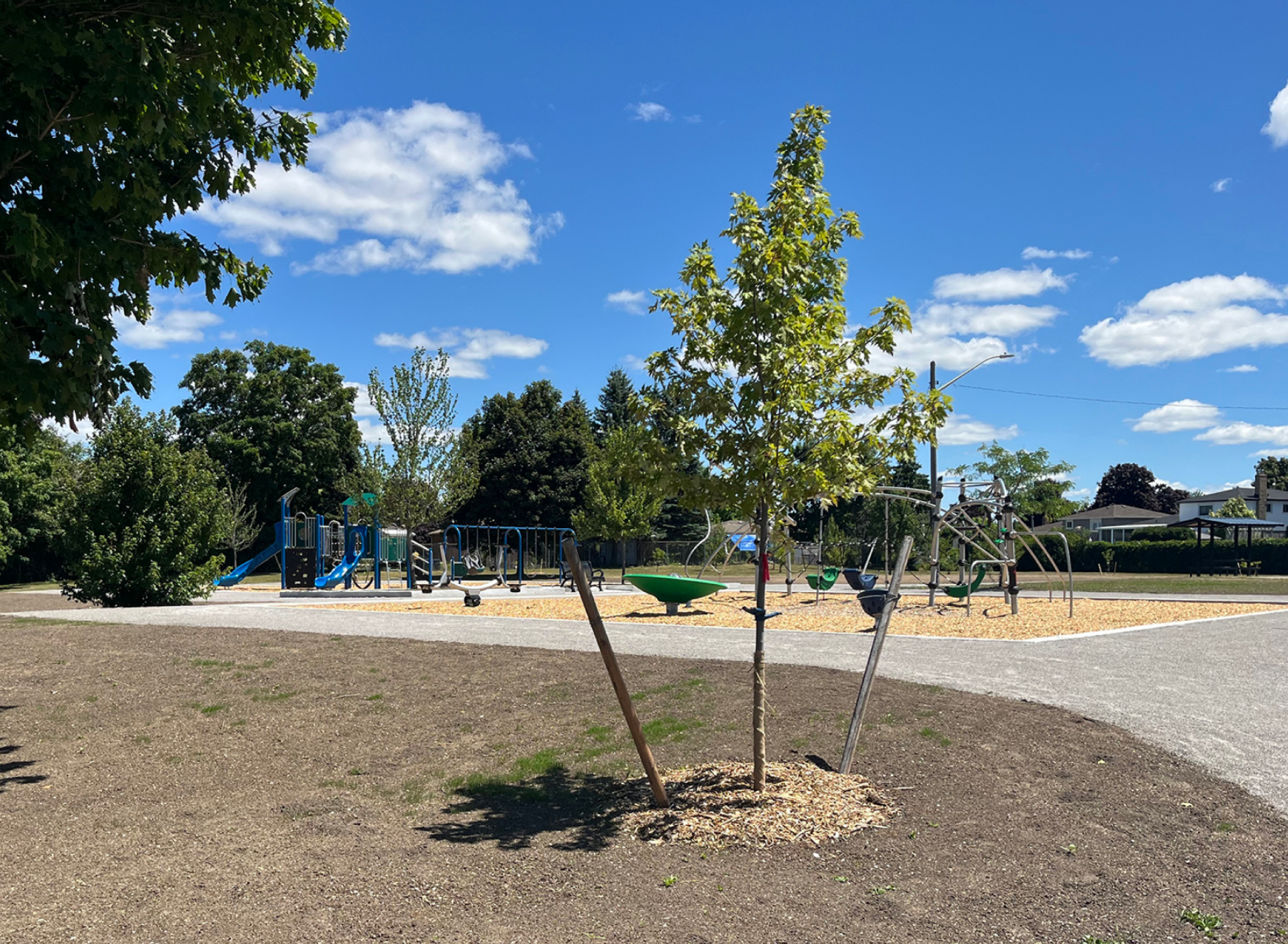 Orchard Park - Lindsay