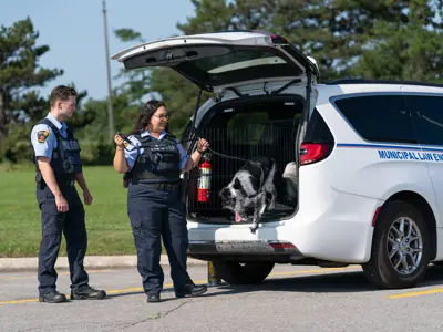 Two Municipal Law Enforcement students guiding a dog on a leash from their van.