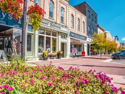 A strip of shops with a row of flowers in the foreground