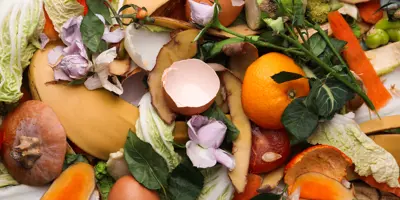 Close up pile of colourful food scraps