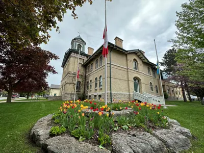 View of city hall with tulip garden in front and flags lowered