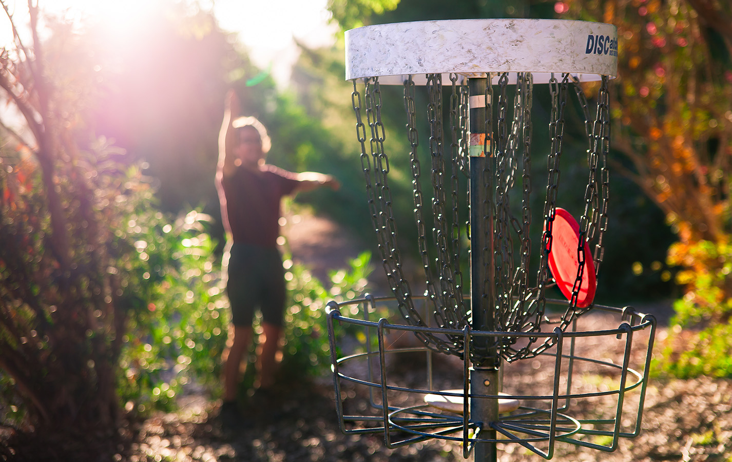 Disc Golf in Fall